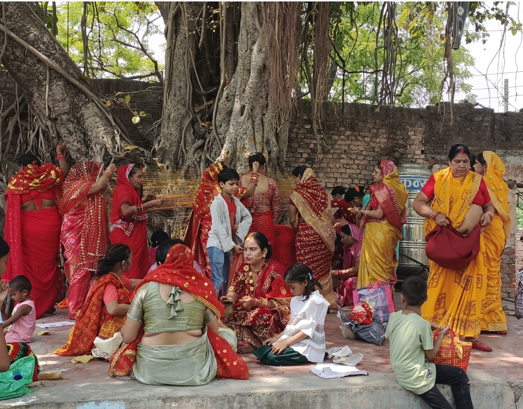 वट सावित्री व्रत : बरसाइत पुजा (वर्षा ऋतुको जन्म) बाँकेका महिलाहरूले पुजाआजा गरि मनाए , वट वृक्षको पूजा गर्दै दाम्पत्य सुखको कामना गरे